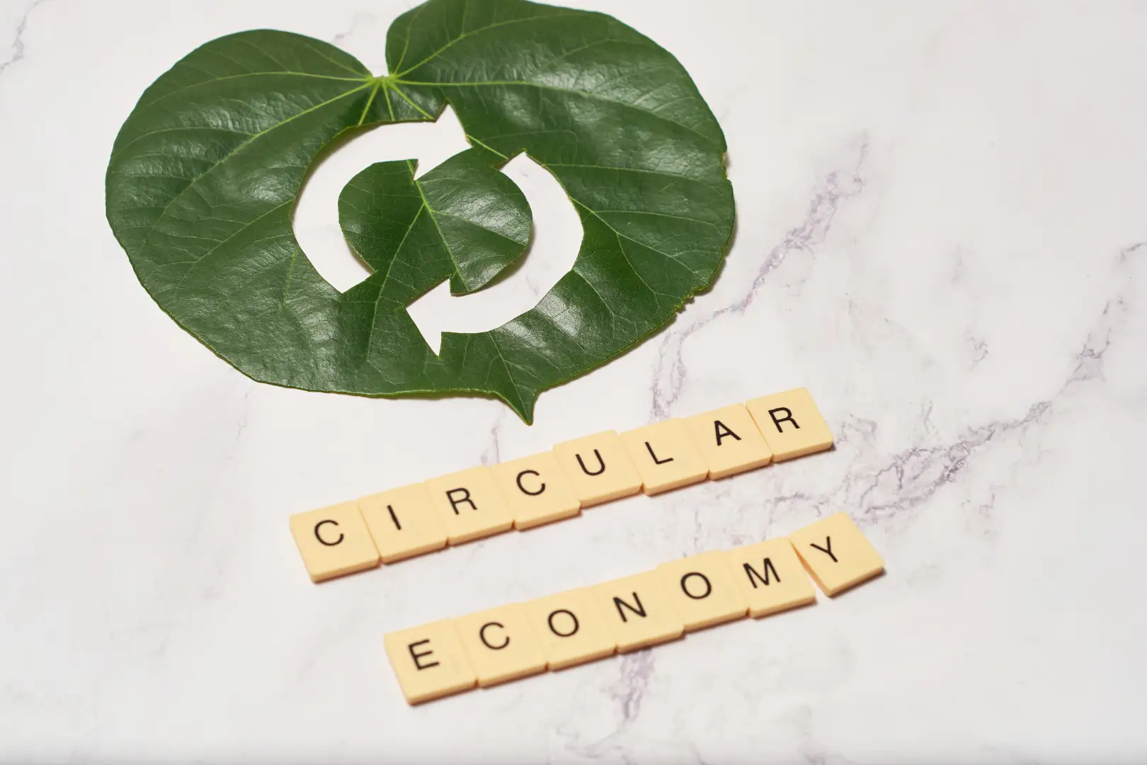 Images - Articles - Planete Bruxelles (41)